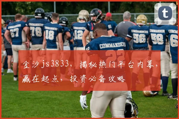 金沙js3833，揭秘热门平台内幕，赢在起点，投资必备攻略