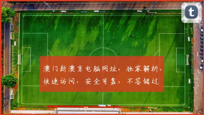 澳门新澳京电脑网址，独家解析，快速访问，安全可靠，不容错过
