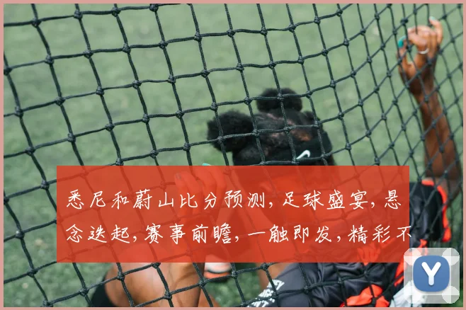 悉尼和蔚山比分预测,足球盛宴,悬念迭起,赛事前瞻,一触即发,精彩不容错过,敬请期待